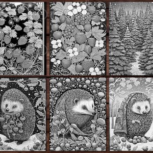 30 Cute Porcupines Animal Coloring Page Book, Adults + kids Instant Download Grayscale Coloring Page, Printable PDF, Feast, Family, Cute image 7