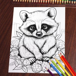 May include: A black and white line drawing of a raccoon sitting on a bed of blackberries. The raccoon has large eyes and a sweet expression.