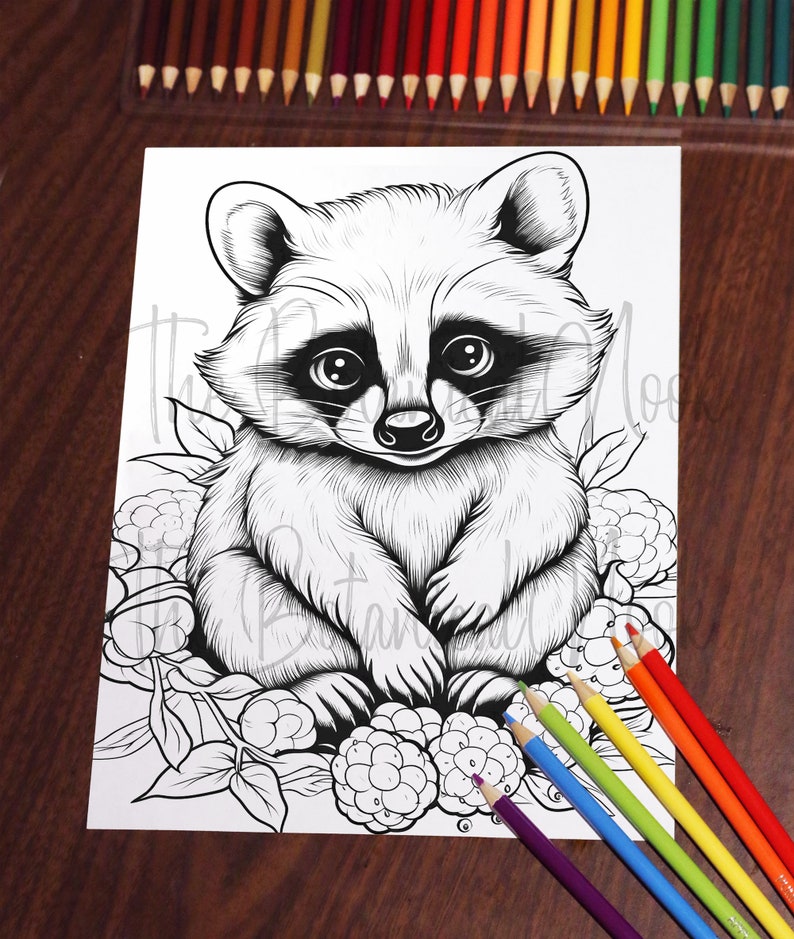 May include: A black and white line drawing of a raccoon sitting on a bed of blackberries. The raccoon has large eyes and a sweet expression.