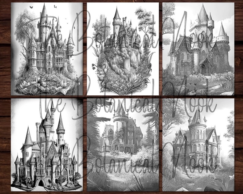 21 Castillos Elegante libro para colorear, Descarga instantánea para adultos Página para colorear en escala de grises PDF imprimible, cabañas, castillos medievales, hermosos imagen 7