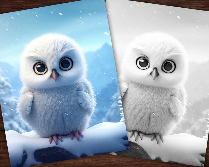 K&ouml;nnte beinhalten: Zwei Bilder einer flauschigen, wei&szlig;en Eule mit gro&szlig;en, ausdrucksstarken Augen. Die Eule sitzt auf einem schneebedeckten Ast vor einer schneebedeckten Bergkulisse. Ein Bild ist farbig, das andere in Schwarzwei&szlig;.