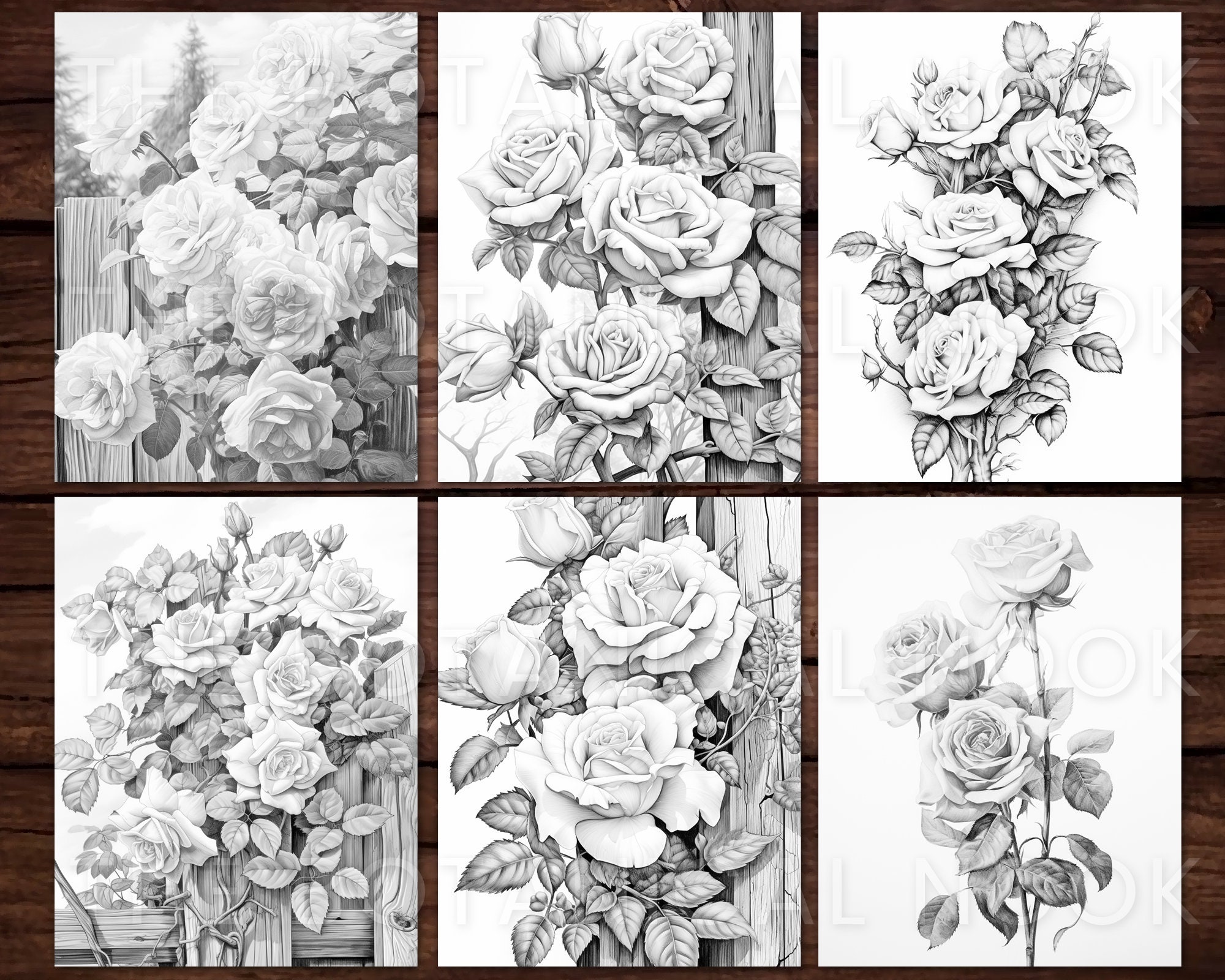 21 Rose Elegance Collection Coloring Page, Adults + Kids- Instant ...