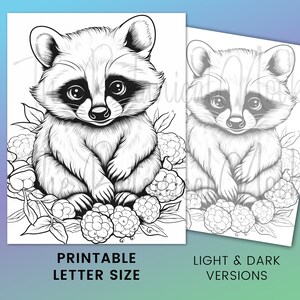 23 Forest Little Raccoons Cute Animal Coloring Page Book, Adults + kids Instant Download Grayscale Coloring Page, Printable PDF raccoon image 4