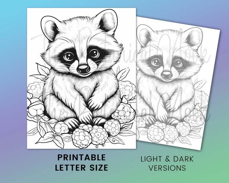 23 Forest Little Raccoons Cute Animal Coloring Page Book, Adults + kids Instant Download Grayscale Coloring Page, Printable PDF raccoon image 4