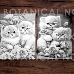 20 Baby Kitten Love Coloring Page Book, Adults + Kids- Instant Download