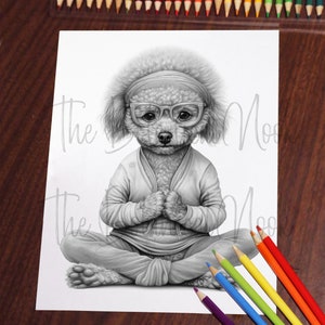 Pu&ograve; includere: Disegno a matita in bianco e nero di un barboncino con occhiali, fascia e cardigan, seduto a gambe incrociate con le mani giunte. Matite colorate in un arcobaleno di colori sono disposte attorno al disegno.