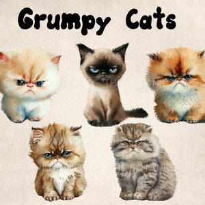 May include: Five watercolor paintings of grumpy cats with different fur colors and patterns. The cats are all sitting and looking grumpy. The title "Grumpy Cats" is written in black at the top of the image.