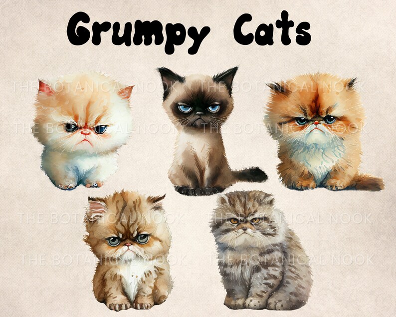 May include: Five watercolor paintings of grumpy cats with different fur colors and patterns. The cats are all sitting and looking grumpy. The title "Grumpy Cats" is written in black at the top of the image.
