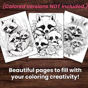 May include: Three black and white line drawings of raccoons with flowers. The raccoons are in different poses, with one raccoon holding a baby raccoon. The drawings are on white paper.