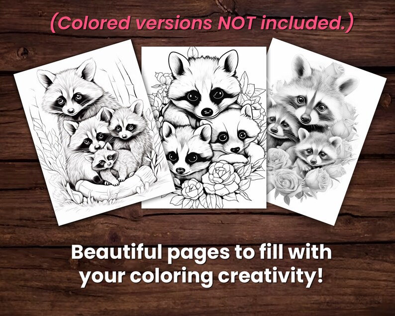 May include: Three black and white line drawings of raccoons with flowers. The raccoons are in different poses, with one raccoon holding a baby raccoon. The drawings are on white paper.