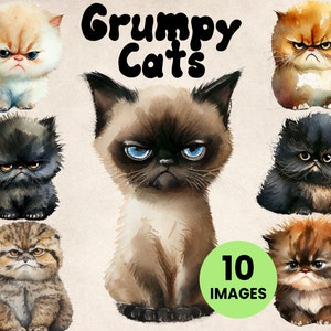 May include: Ten watercolor illustrations of grumpy cats with different fur colors and patterns. The cats are all looking grumpy and have their mouths slightly open. The text "Grumpy Cats" is written in large, black letters at the top of the image. The text "10 IMAGES" is written in white letters on a green circle at the bottom of the image.