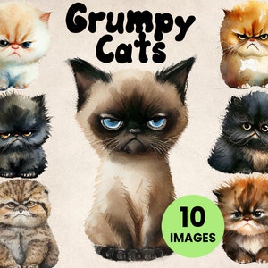 10 Grumpy Cats Cute Fluffy Kitten Watercolor Clip Art Set (10 Graphics) Botanical Illustration Instant Download for crafting, commercial