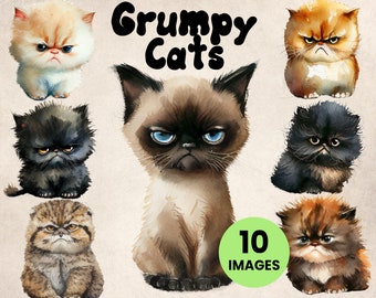 10 Grumpy Cats Cute Fluffy Kitten Watercolor Clip Art Set (10 Graphics) Botanical Illustration Instant Download for crafting, commercial