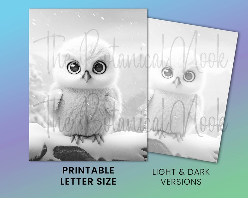 K&ouml;nnte beinhalten: Schwarz-Wei&szlig;-Druckkunst mit einer flauschigen Eule mit gro&szlig;en Augen, die auf einem schneebedeckten Ast sitzt. Das Bild enth&auml;lt den Text "The Botanical Nook", "Printable Letter Size" und "Light & Dark Versions".