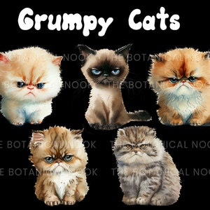May include: Five grumpy-looking kittens with different fur colors and patterns. The kittens are all sitting in a row, looking directly at the viewer. The background is black.