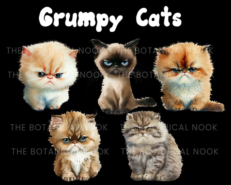 May include: Five grumpy-looking kittens with different fur colors and patterns. The kittens are all sitting in a row, looking directly at the viewer. The background is black.