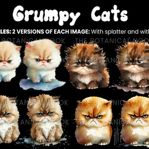 May include: Digital download of 20 watercolor illustrations of grumpy cats. The cats are in various poses and have different fur colors, including white, brown, and orange. The illustrations are perfect for creating greeting cards, scrapbooking, or other creative projects.