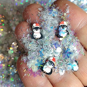 10 gramów mieszanki brokatu Penguin Lake - holograficznej! - idealnej do majsterkowania i rękodzieła!