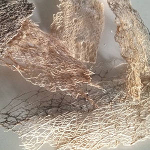 Cactus Lace fiber sheets, you choose thickness, natural dried botanical for collage, sculpture. Husk/skeleton, metal casting/plating
