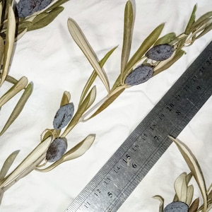 本物のオリーブの木の枝、装飾用の天然の乾燥植物、花輪、テーブルのセンターピース、彫刻など、想像できるものはすべて...