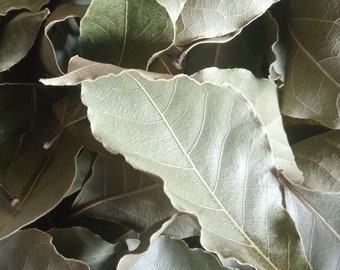 Bulk Whole Bay leaf, per lb FREE GLOBAL SHIPPING harvested to order and dried whole Bay leaves, home grown organic aromatic culinary herb.