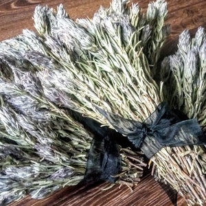 以下が含まれることがあります： 黒いリボンで結ばれた、乾燥したラベンダーの花の束が2つ。ラベンダーは薄い紫色で、茎は茶色です。