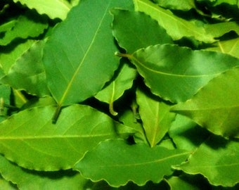 Bay leaves (Laurus nobilis) picked from my organic garden in Turkey. Freshly picked, dried, crumbled and sent to you. Healthy and delicious!