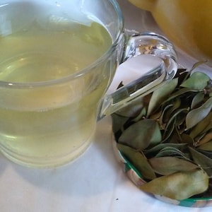 Dried myrtle leaves for tea and herbal infusions. Healthy and home grown organic from my garden in Turkey