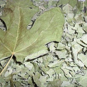 Bulk vijgenbladeren, per pond GRATIS WERELDWIJDE VERZENDING, gedroogd en verkruimeld voor thee en kruideninfusies. Lekker, biologisch van eigen bodem uit mijn wilde tuin.