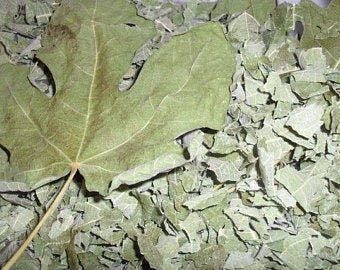 Bulk Fig leaves, per lb FREE GLOBAL SHIPPING dried and crumbled for tea and herbal infusions. Tasty, home grown organic from my wild garden.