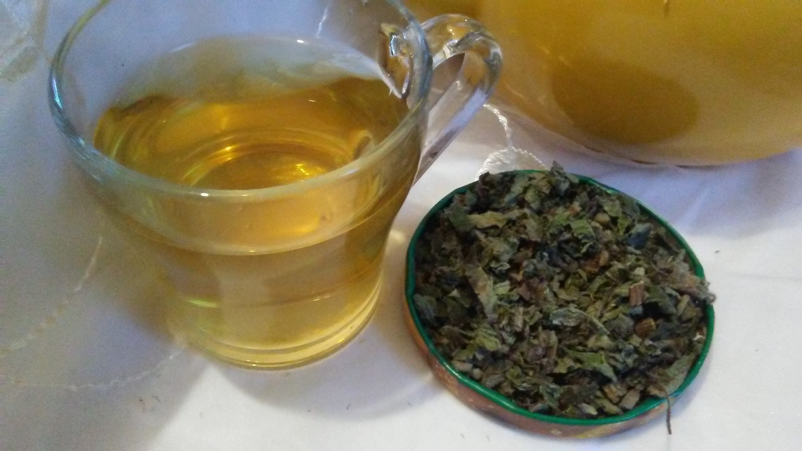 Dried Lemon balm for tea and herbal infusions. Healthy and home grown organic, fresh from my garden in Turkey