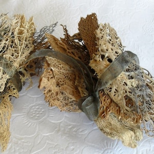 Fascio di fibre di pizzo di cactus, piante botaniche naturali essiccate per collage, sculture... Tutto ciò che puoi immaginare... Buccia/scheletro, fusione/placcatura di metallo