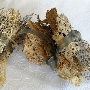 Cactus Lace fiber bundle, natural dried botanical for collage, sculpture...Anything you can imagine...  Husk/skeleton, metal casting/plating