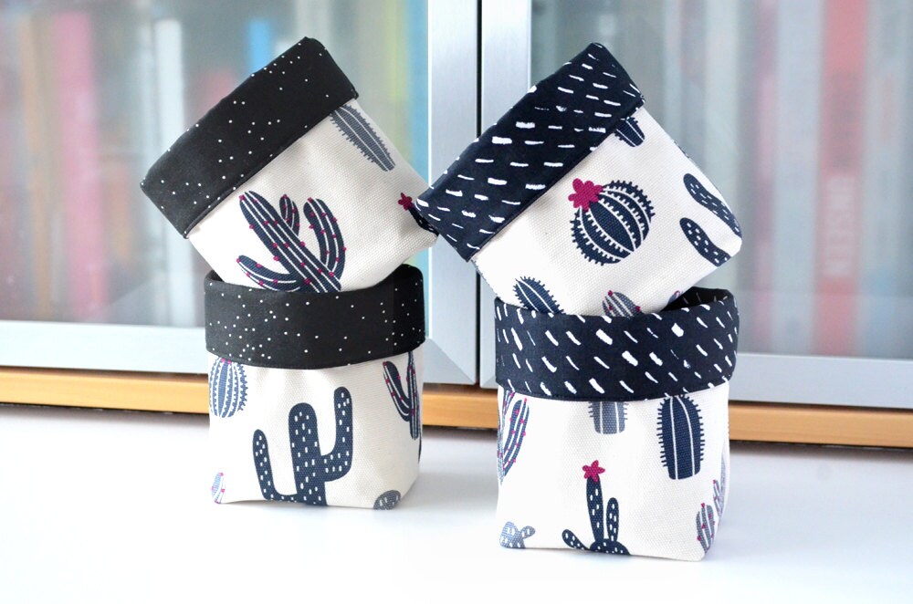 Jardinière de Cactus, Pot Plantes Succulentes, Décor Dortoir, Cadeau Universitaire Pour Adolescente,