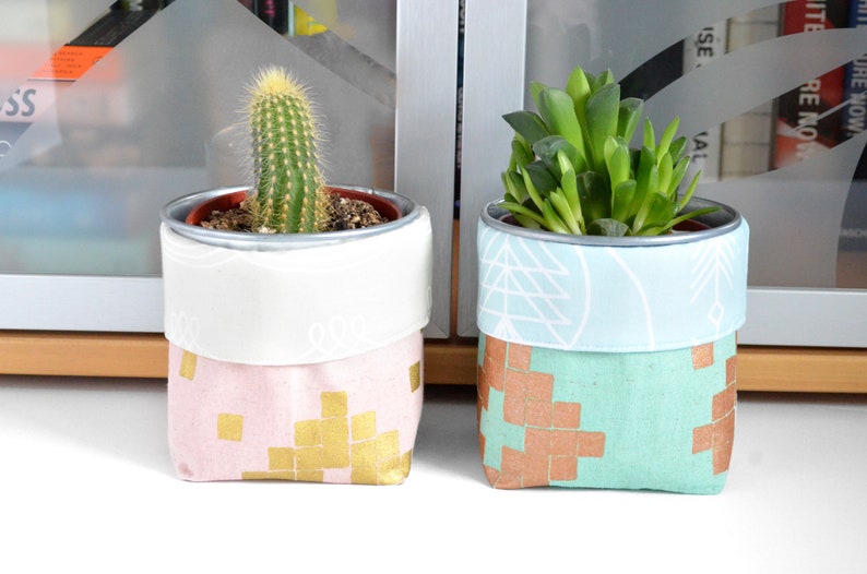 Succulent Plant Pot Gardening Gift For Teen Room Decor Desk Etsy