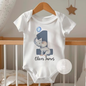 Elephant First Birthday Boy Shirt - First Birthday Boy Outift - 1st Birthday Bodysuit - Cake Smash Outfit - Baby Boy Birthday Gift