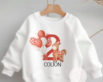 Second Birthday Sweatshirt, Red Gingham Horse, Toddler Outfit