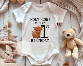 Holy Cow Its My First Birthday Bodysuit, Highland Cow First Birthday Shirt, Cow Birthday Party, Its My First Birthday