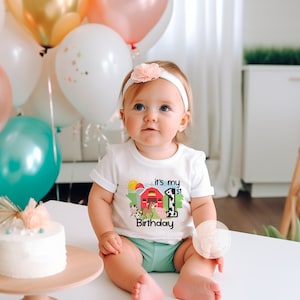Its My First Birthday, Farm Themed Birthday Shirt, Farm First Birthday Outfit, Farm Animals Birthday Party