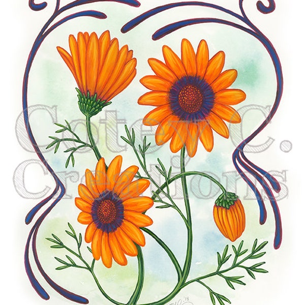 Solar Fire Orange Ursinia Art Nouveau Floral Wall Art