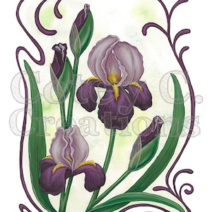 Mary Todd Purple Bearded Iris Art Nouveau Floral Wall Art