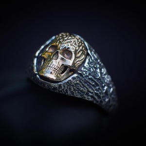 Druidenschädelring, 14 Karat Gold und Sterlingsilber, Memento Mori Siegelring Bild 6