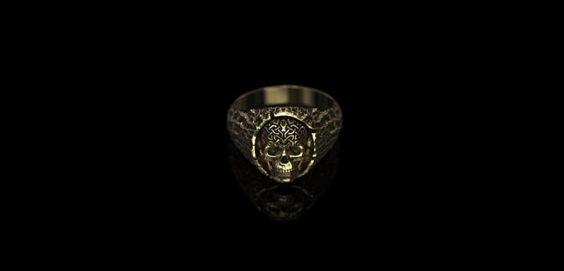 Druidenschädelring, 14 Karat Gold und Sterlingsilber, Memento Mori Siegelring Bild 7