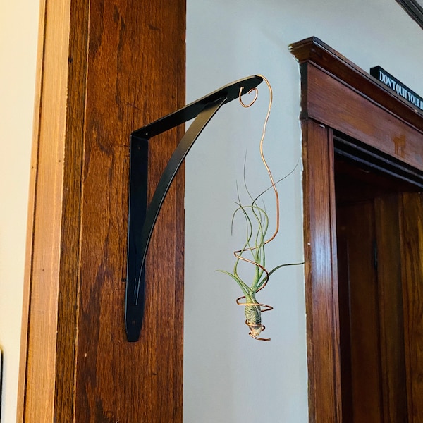 Hanging Copper Air Plant Holder