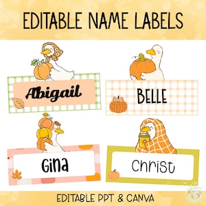 Może przedstawiać: Cztery prostokątne etykiety z imionami o tematyce jesiennej z ilustracjami białych gęsi trzymających dynie. Etykiety zawierają imiona Abigail, Belle, Gina i Christ czarną czcionką. Tekst na górze to EDITABLE NAME LABELS, a na dole EDITABLE PPT & CANVA.