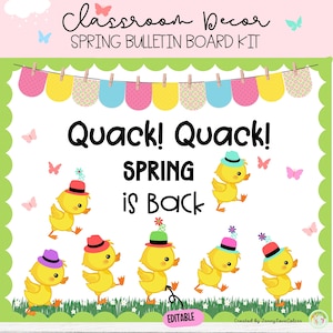 Ducks Spring Bulletin Board Kit Door Decor March & April Classroom Decor
