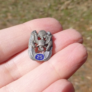 Antique 1925 Eagle Sterling Silver Enamel Brooch, Amazing and Rare Date Piece. Great Gift Idea! Wonderful Year Motif!