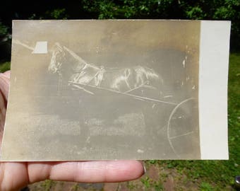 Antique Horse and Buggy Real Photo Postcard Photograph, Unique Original Photograph, Circa 1900