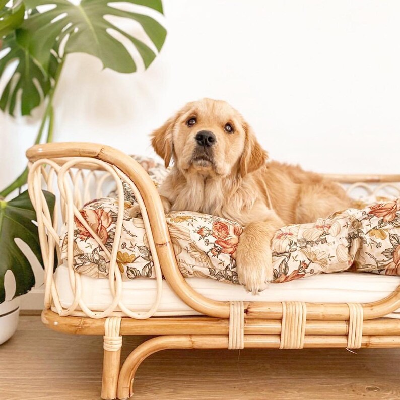 Molly Rattan Dog Beds Etsy