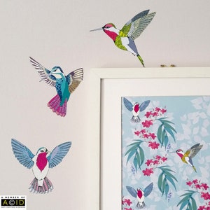 Hummingbird Wall Stickers,  Bird Wall Decals